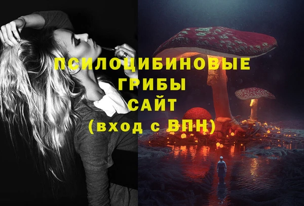 ГАЛЛЮЦИНОГЕННЫЕ ГРИБЫ Заволжье