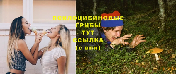гидропоника Заводоуковск