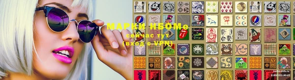 ГАЛЛЮЦИНОГЕННЫЕ ГРИБЫ Заволжье