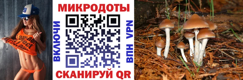Псилоцибиновые грибы MAGIC MUSHROOMS  закладки  площадка как зайти  Карталы 